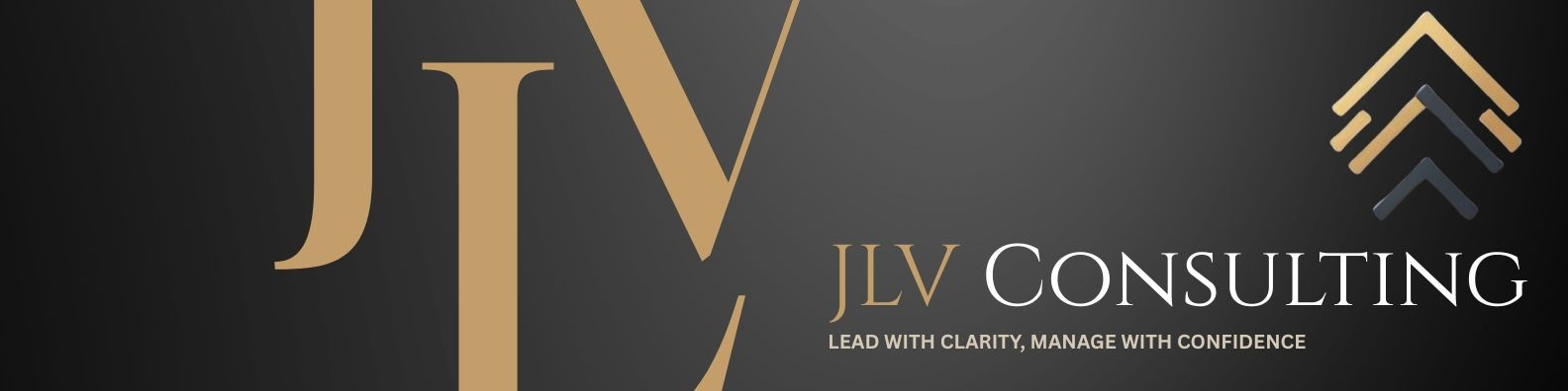 JLV Consulting